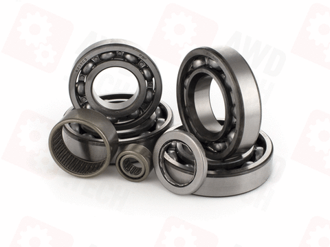 Bearing Kit (for DCS)