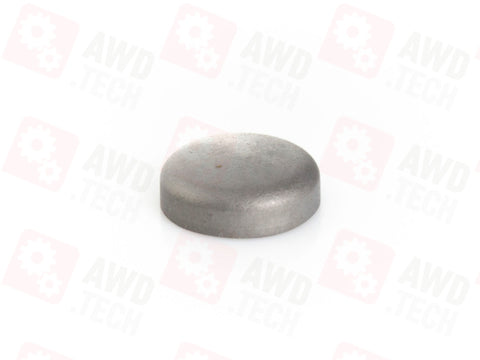 Cap (for RDM (312/319))