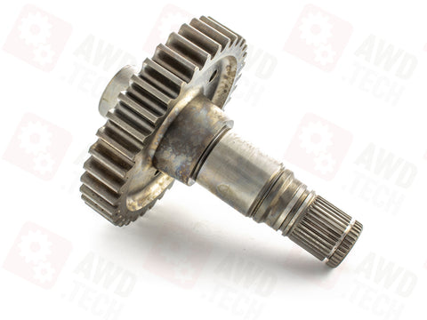 Sortie de pignon (dimension 1