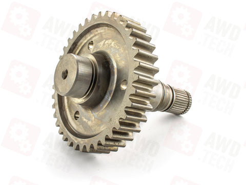 Sortie de pignon (dimension 1