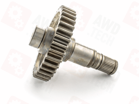 Sortie de pignon (dimension 1