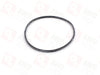 TYX100500 Joint torique (pour CB40)